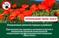 В Балахнинского муниципального округа пройдет первый этап межведомственной комплексной оперативно-профилактической операции «МАК – 2023»